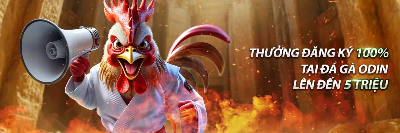 Hình ảnh chính trang Blog 100win Trang Chủ Chính Thức